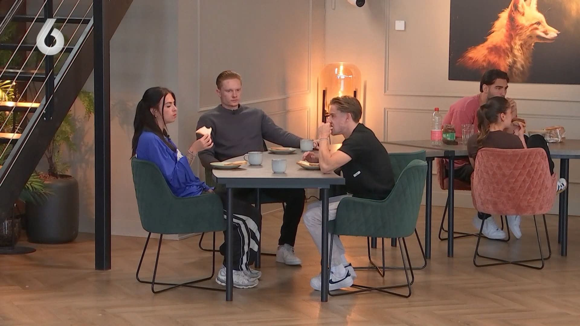 De Bondgenoten-kijkers woest op Robert en Roxy